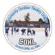 Community Outdoor Hockey League Logo